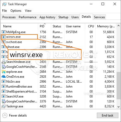 What is Winsrv.exe?