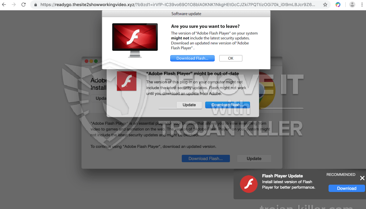 download a new version of flash player virus