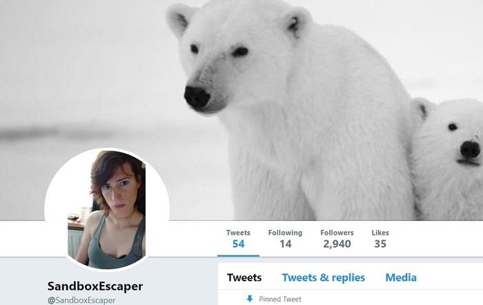 SandboxEscaper on Twitter. Now her account is blocked