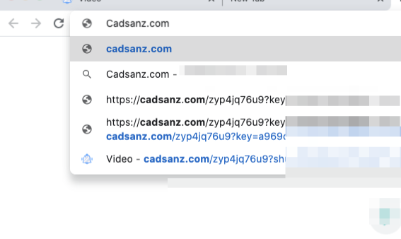 Cadsanz.com 리디렉션