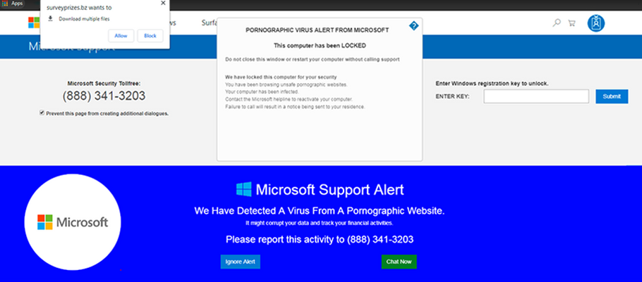 Microsoft의 포르노 바이러스 경고