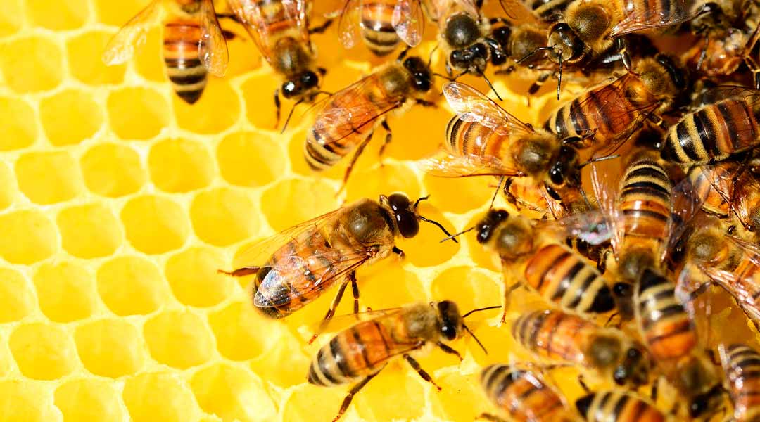 Hive group attacked Media Markt demanding $50 million